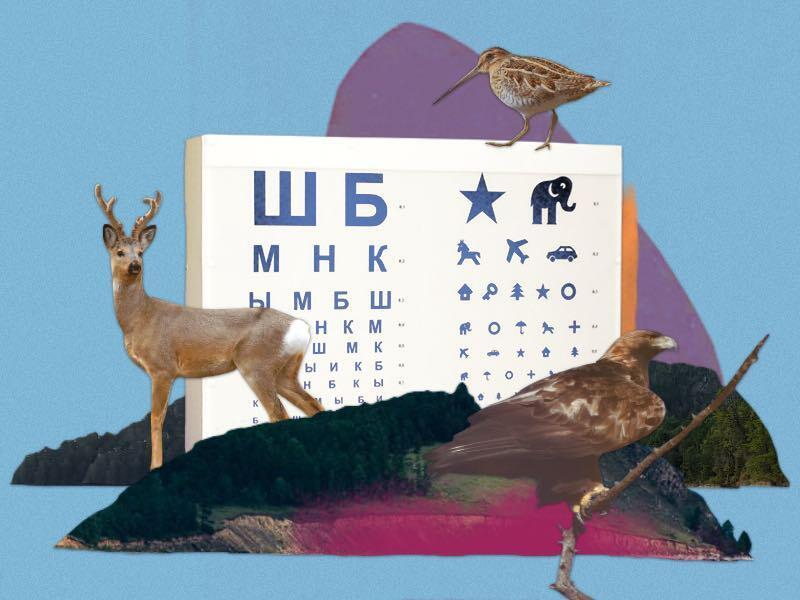 © Фото: Первый Байкальский