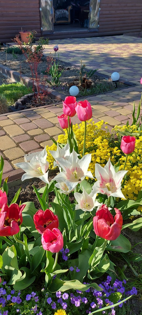 Фото автора.