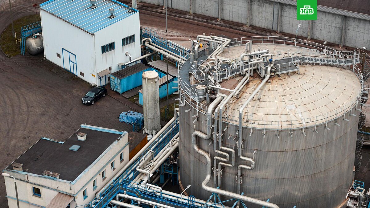    Фото: РИА Новости © 2025, Алексей Витвицкий