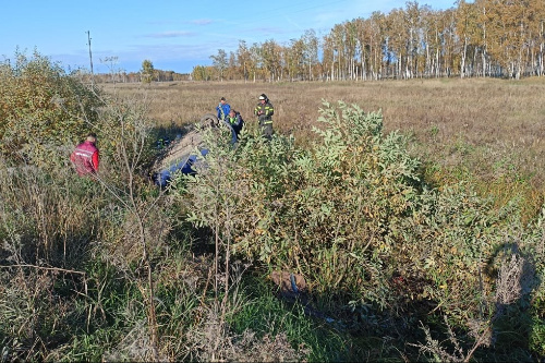    Фото: Госавтоинспекция НСО