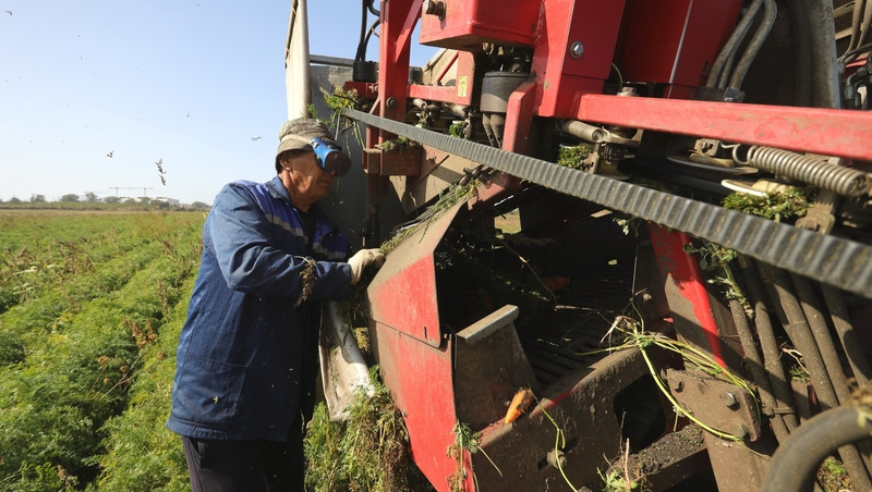      Фото: Дмитрий Ахмадуллин / / ИА «Победа26»