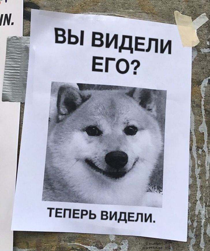 © Соцсети 