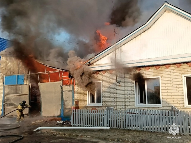    Фото: пресс-служба ГУ МЧС России по Пензенской области