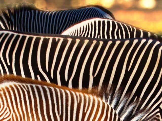    Фото: 123RF/utaou