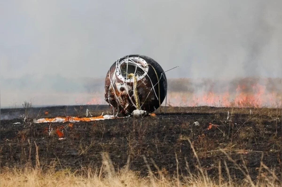    В оренбургской степи приземлился спутник с мышами и дрозофилами