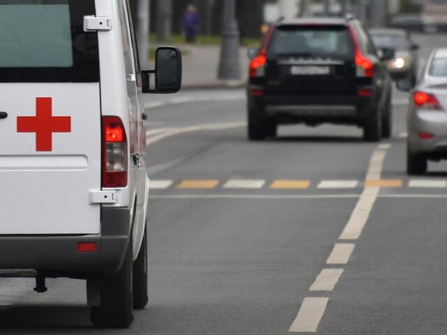    Фото: Москва 24/Антон Великжанин