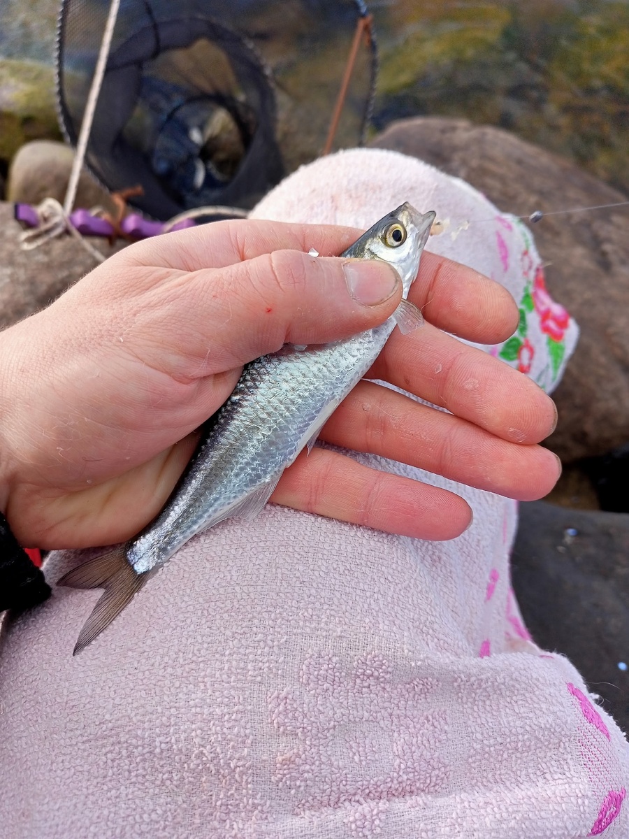 Это так, мелочь