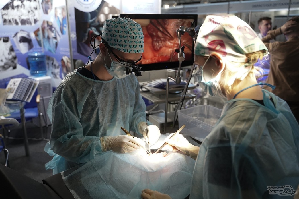    Фото: Лидия Аникина © ИА «Уральский меридиан»