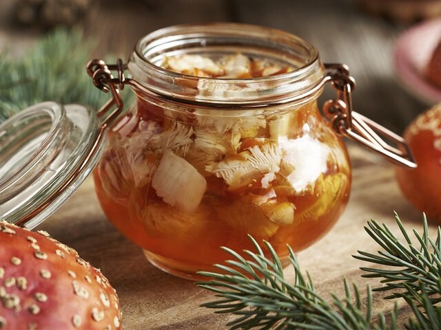    Фото: 123RF/madeleinesteinbach