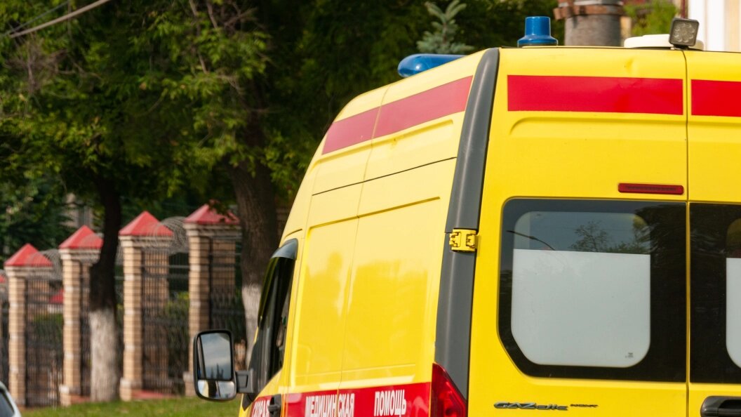    Фото: Svetlana Vozmilova/Globallookpress