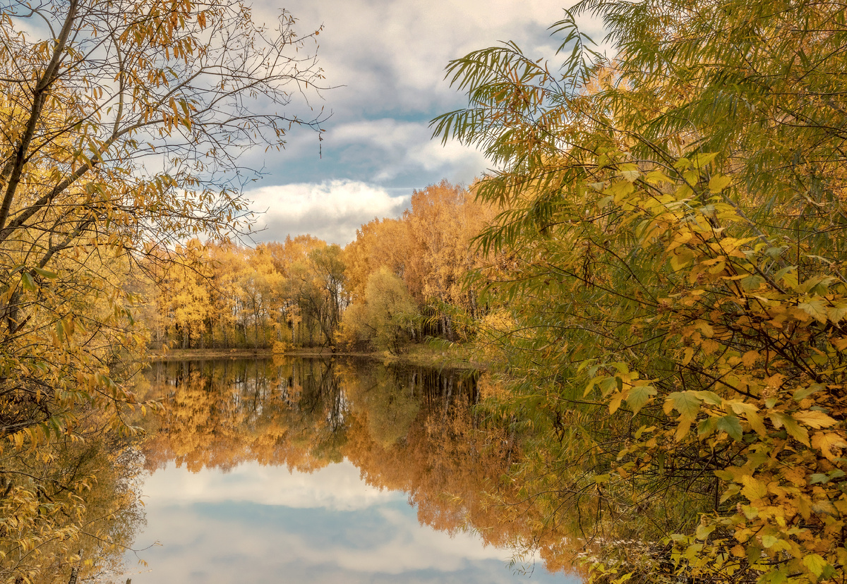 фото:Sergey Metelitsa/Global Look Press