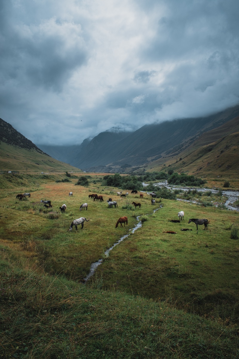 Вид на Мидаграбинскую долину близ села Даргавс