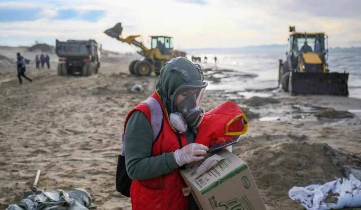     Очистка пляжей. Источник: ria.ru Автор фото: Алексей Майшев