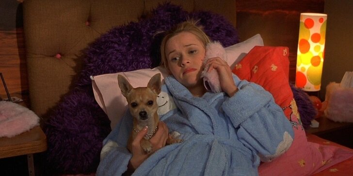 ФотоКадр из фильма «Блондинка в законе»