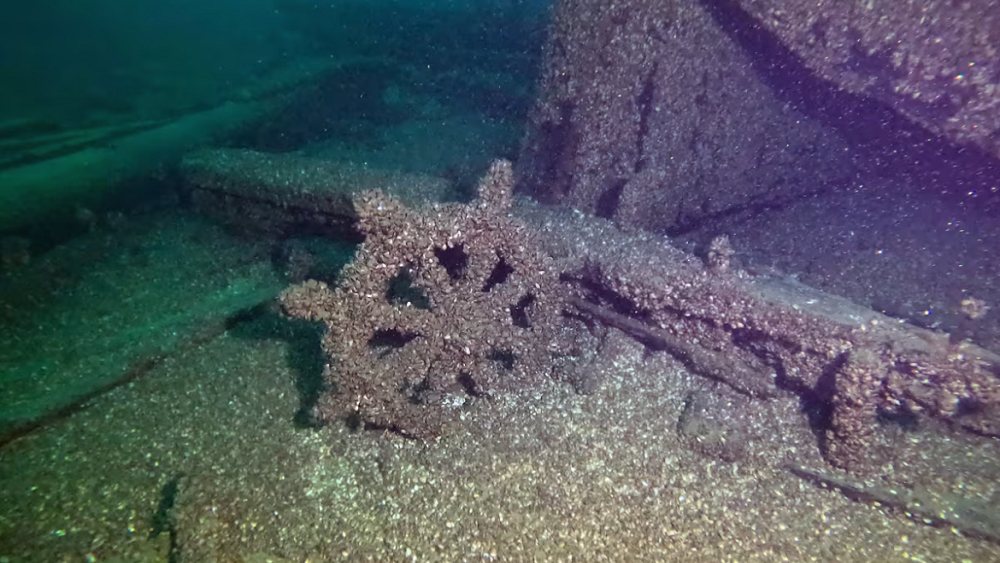     Фото: Tamara Thomsen/Wisconsin Historical Society