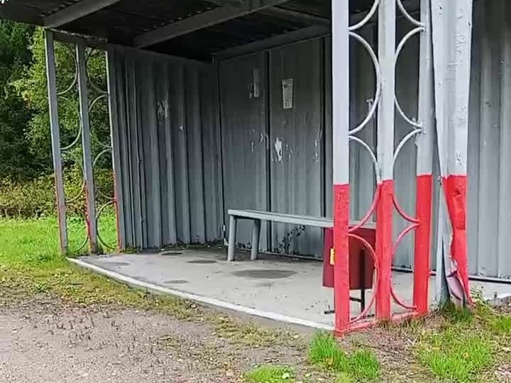 Загородная остановка, где были обнаружены котята