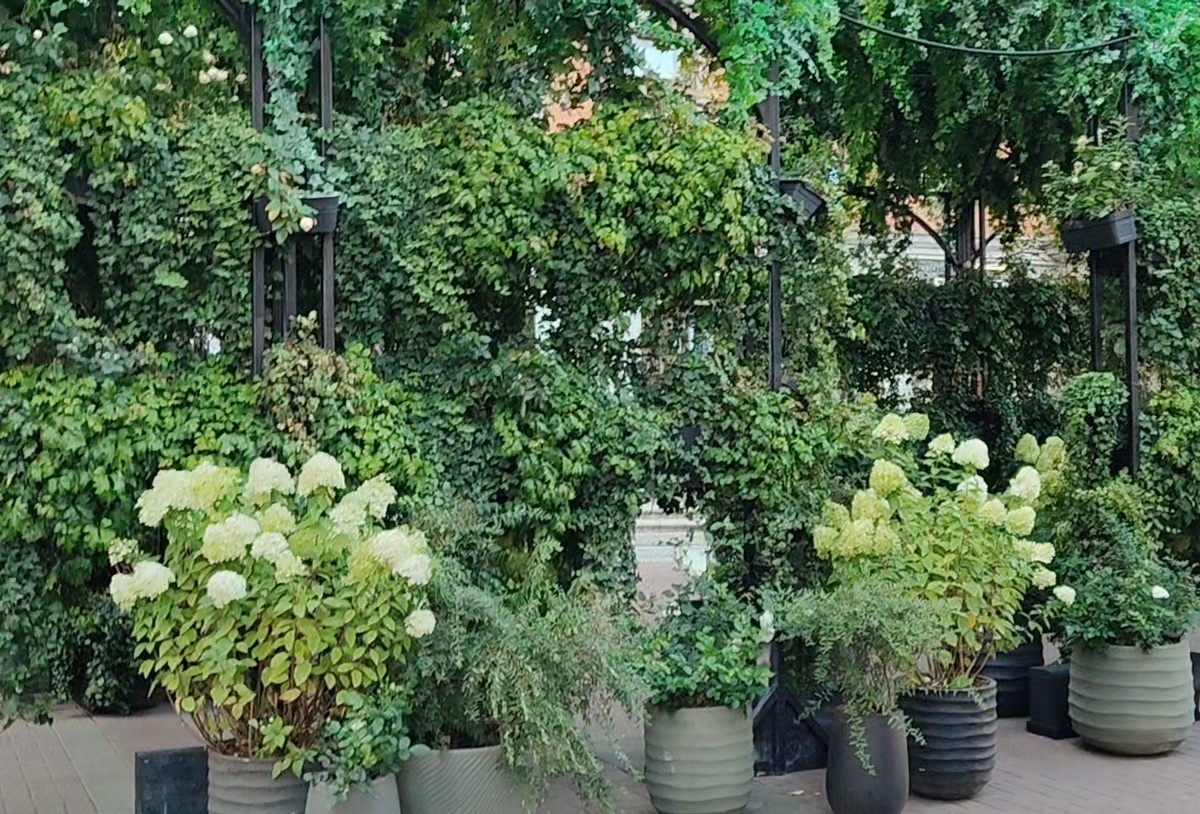 Оформление улиц Москвы