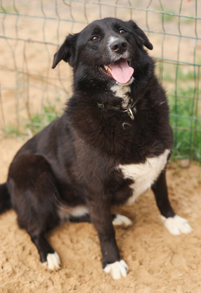 так чего меня тогда так никто и не взял?