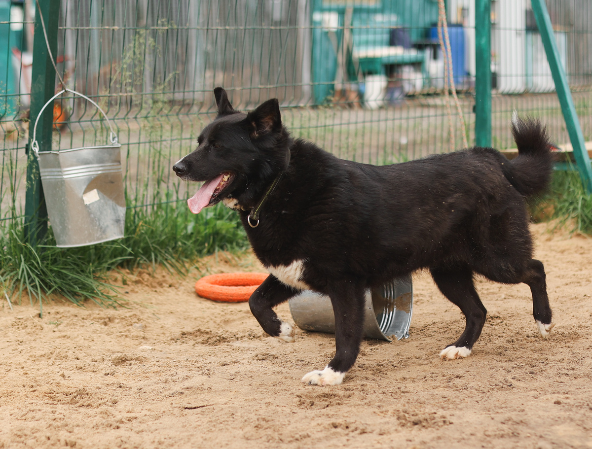 Мои крылышки-ушки спешат к вам каждый день! Вы там заблудились, что ли?