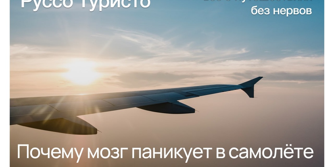 Почему мозг паникует в самолёте — и как это остановить