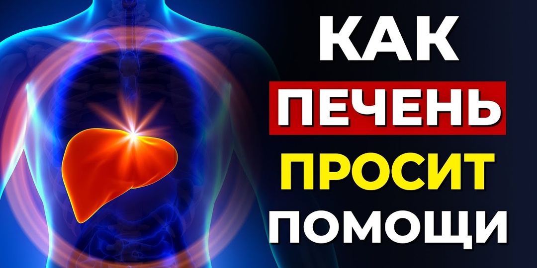 Три утренних сигнала, что печень не справляется