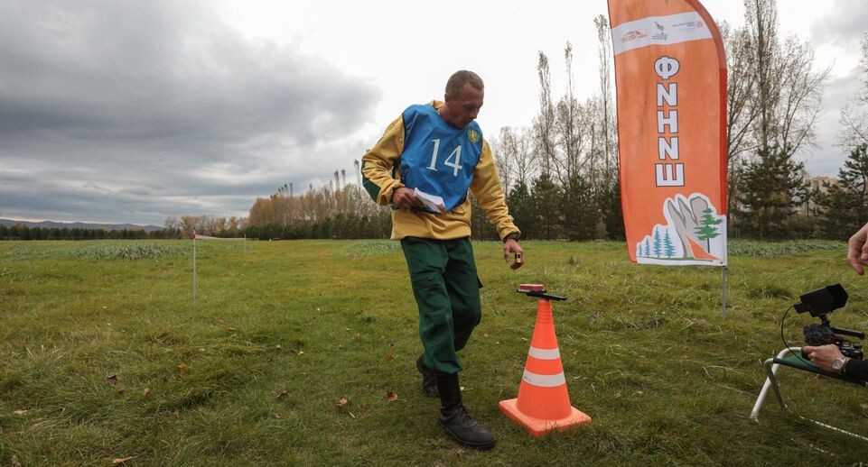    Комитет лесного хозяйства Московской области