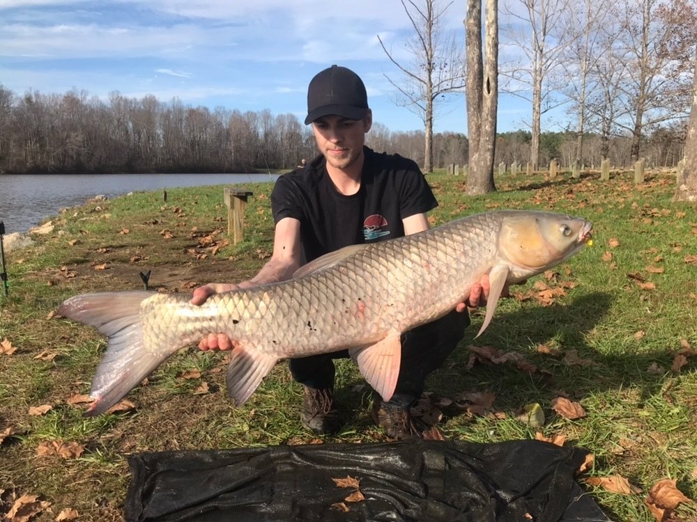 Эй, ты чего такая бледная, на солнышке хоть полежи немного...