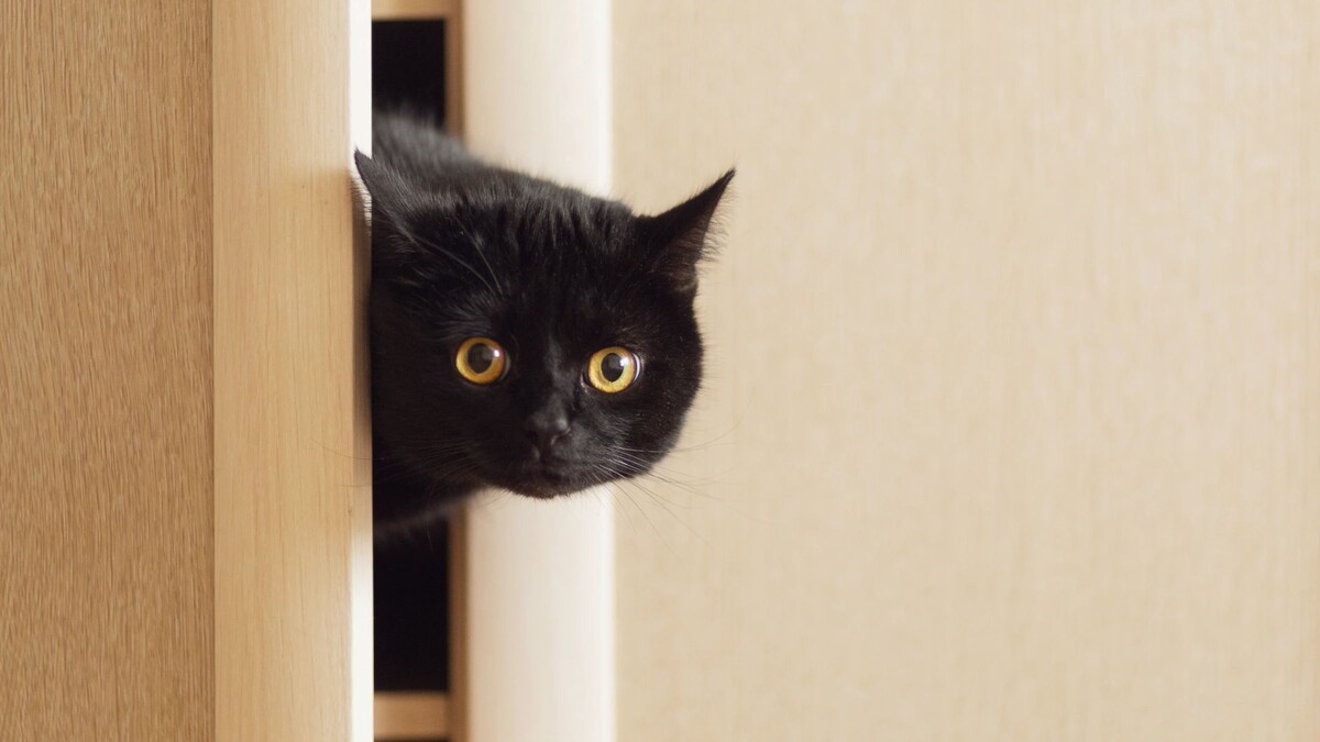    Фото: marina_eno1 / Shutterstock / Fotodom