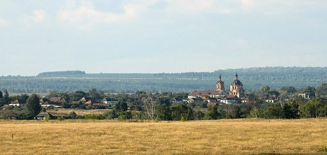 Современная панорама Головино