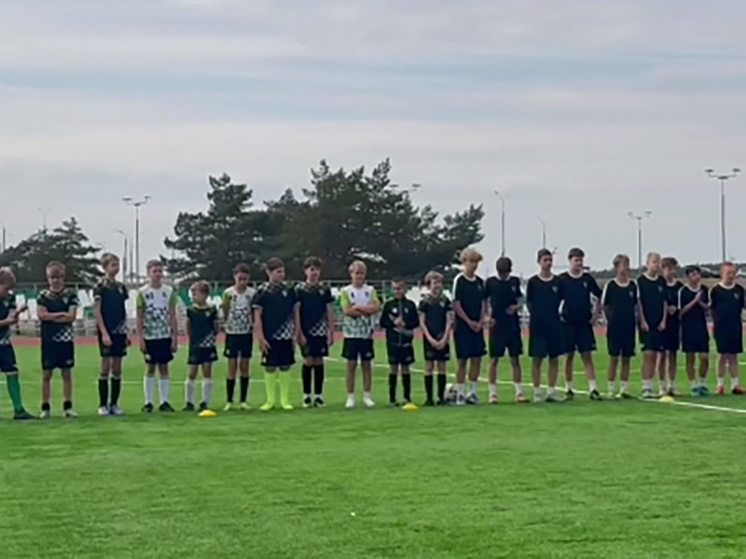     Фото: скрин видео Дмитрий Денисов