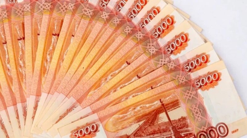     Деньги. Купюры. Фото: Анна Зайкова.