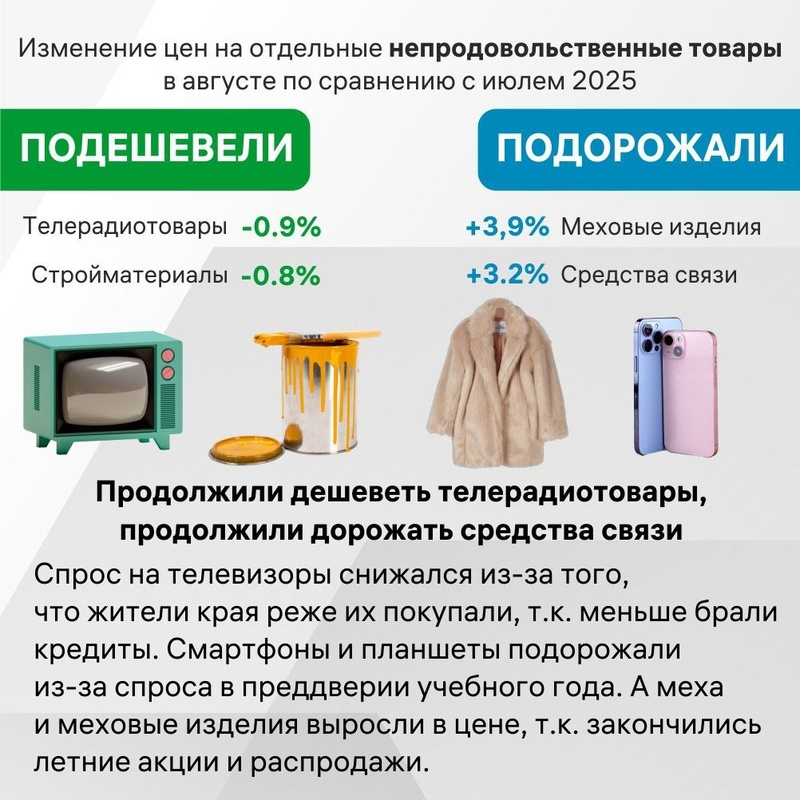    Как изменились цены на непродовольственные товары Фото: Ставропольское отделение Банка России