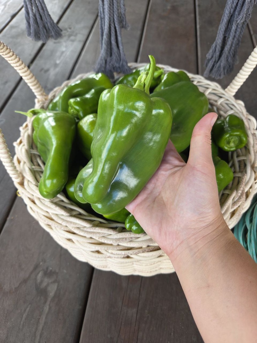 15 сентября 2025 г.