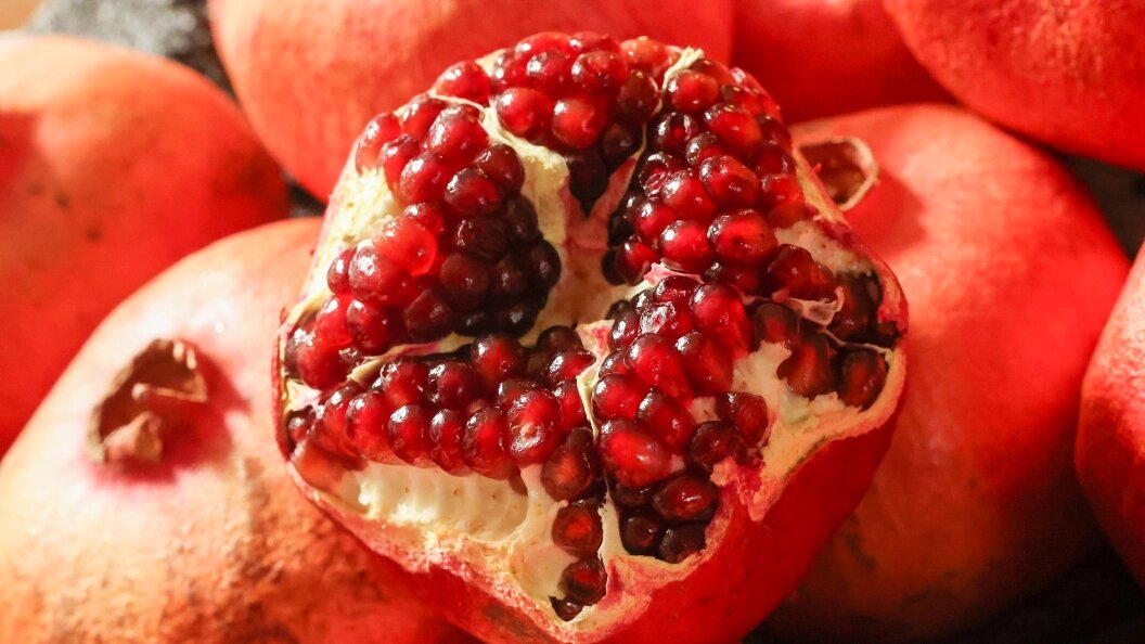    Фото: Petrov Sergey/news.ru/Globallookpress