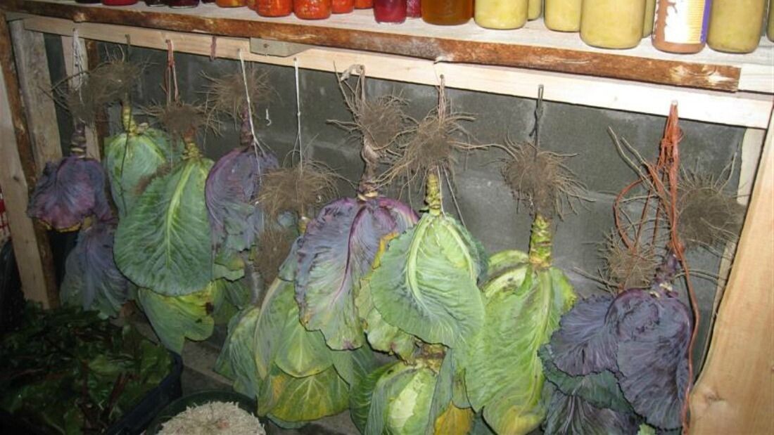 Фото использовано в качестве иллюстрации. Источник Яндекс-картинки