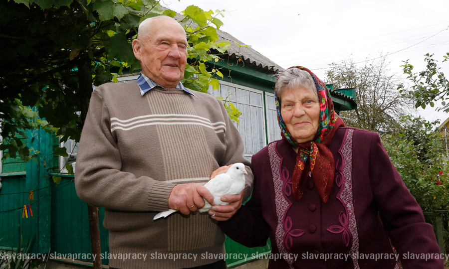 65 лет верности: любовь и голуби Квиткевичей