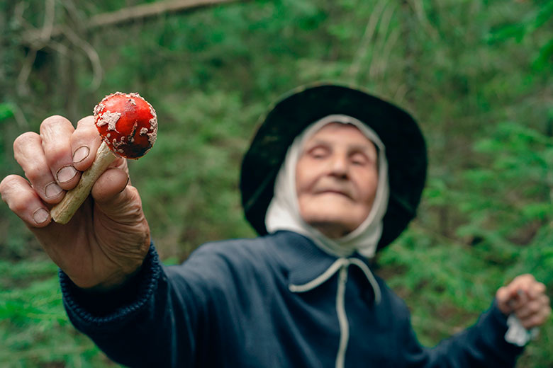    Shutterstock/FOTODOM