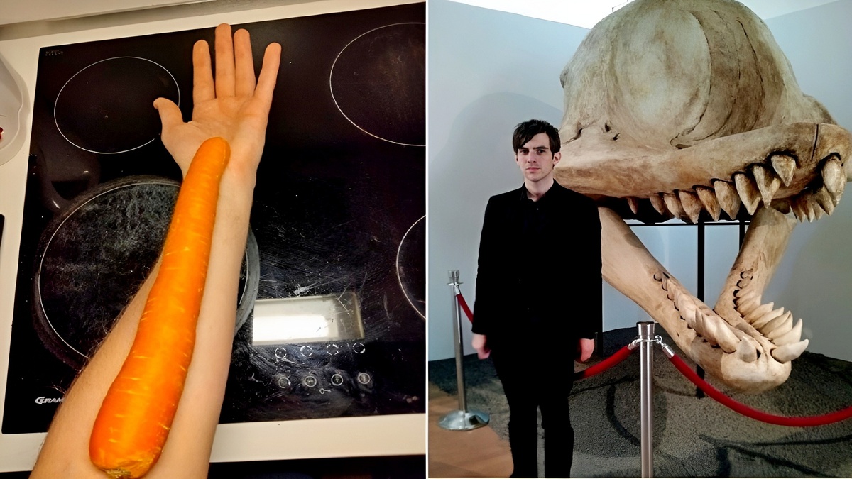 15 фотосравнений: Вот уж правда — век живи, век учись