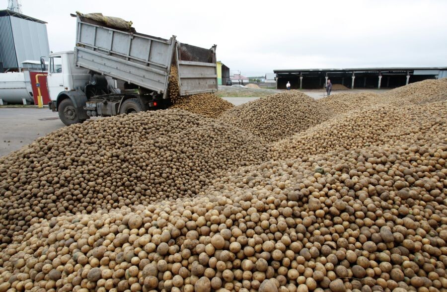     / Источник: © Егор Еремов/РИА Новости