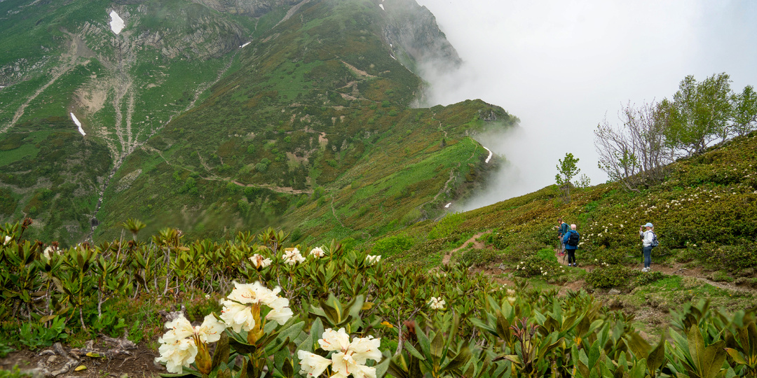 Кавказ или Алтай: какие горы краше