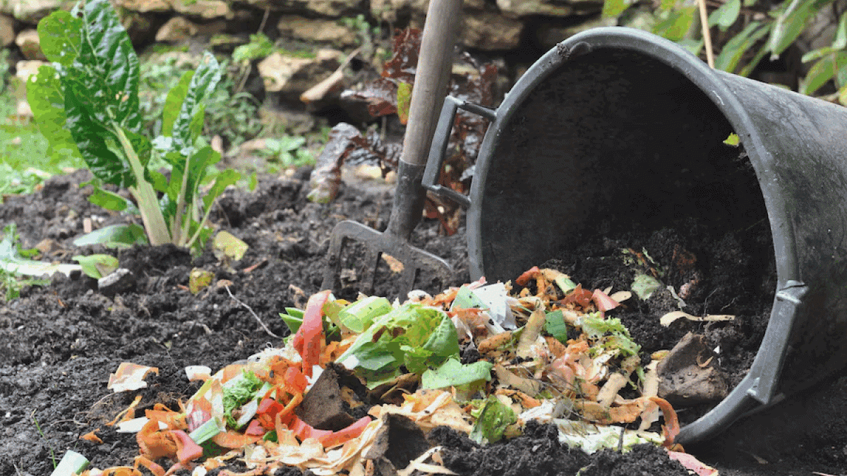 Что нужно делать перед зимой, что бы сохранить «живые» бактерии до весны в компостной куче