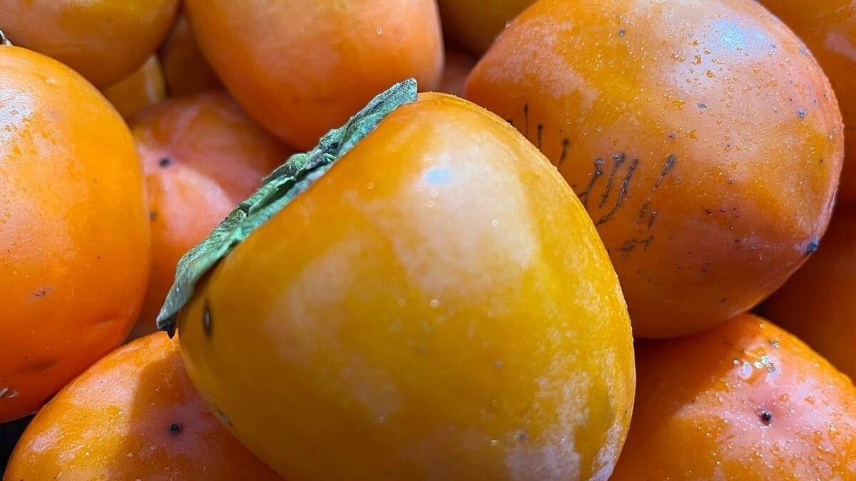    Фото: телеканал «Краснодар»