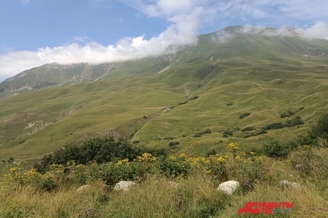   Такие пейзажи в Осетии — буквально на каждом шагу. Фото: АиФ/ Александр Пастухов