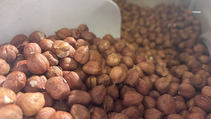      Фото: Алина Холод / / ИА «Победа26»