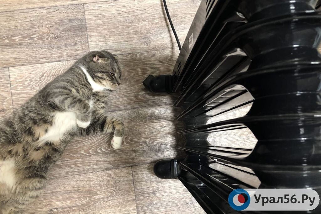    Пробные топки в Орске начнутся с 29 сентября