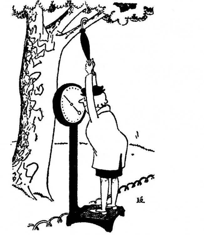 Картинка из открытых источников 