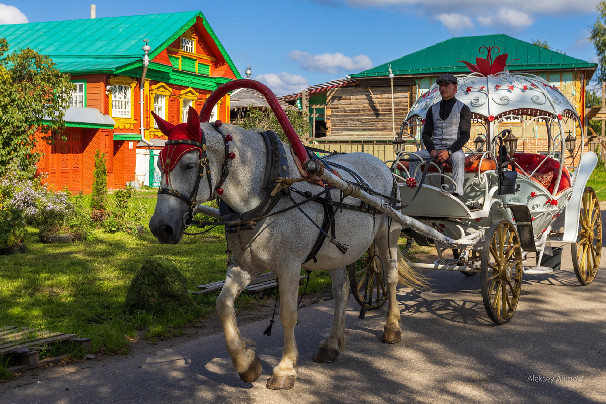 Фото: Алексей Алимов