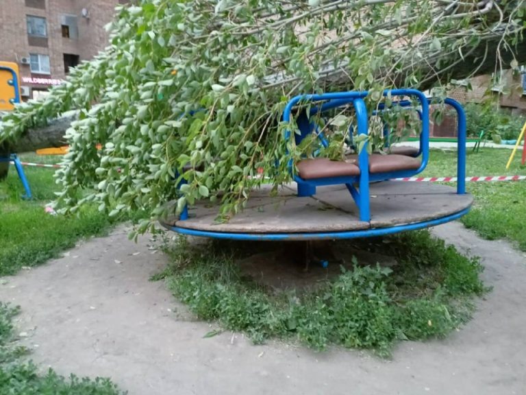    Фото: СК РФ Ирина Амелина