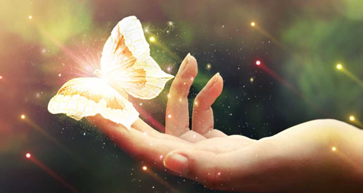 картинка из интернета