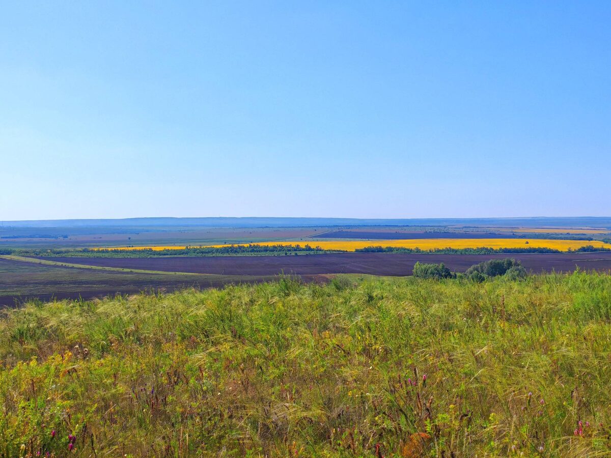 Так выглядит долина реки Медведицы с гряды...